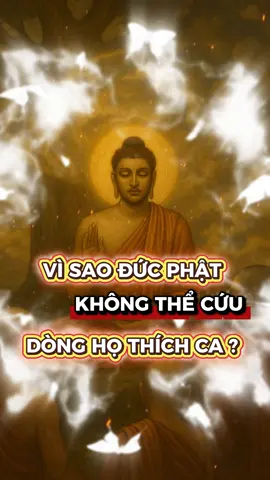 Vì sao Đức Phật không thể cứu dòng họ Thích Ca ? #nammobonsuthichcamauniphat #nammoadidaphat #phatphapnhiemmau #phatphap #hocphatdi 