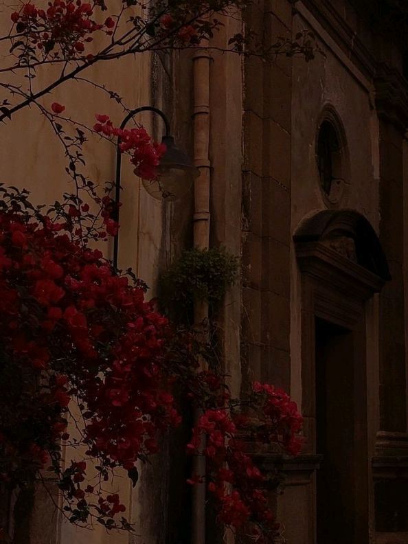 part 22 | duniya raazi karke kamle 💌🫠 . . . . . . . . . . . #vocal #explor #song #foryoupage #unfreezemyacount 