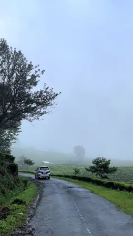 Pagar Alam Vibes After Rain##lewatberanda #pagaralam #fyppppppppppppppppppppppp #kebuntehpagaralam #kebuntehgunungdempo 