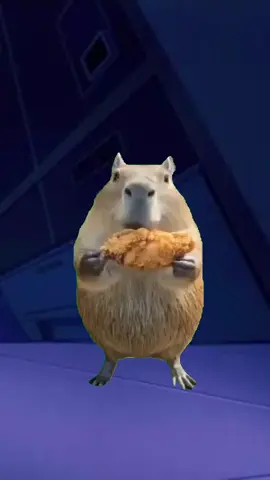 #Meme #MemeCut #CapCut 