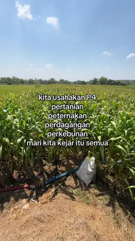 #fyp #petanimuda #peternakmuda #pedagangmuda #perkebunan 