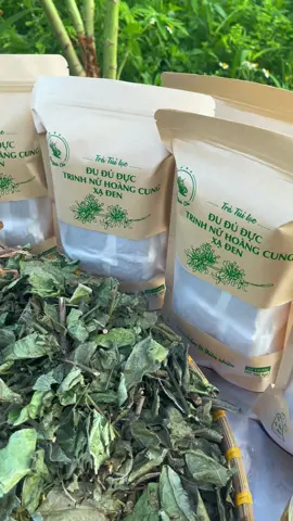 Trà đu đủ đực - trinh nữ hoàng cung - xạ đen bịch 60 gói lọc #trathaomoc #thaoduoc #tradududuc 