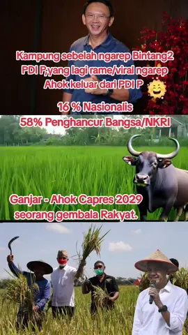 LIR ILIR GANJAR - AHOK SEBELAH PADA MIKIR 🤟🤟🤟#fypシ゚viraĺ #fyppppppppppppppppppppppp 
