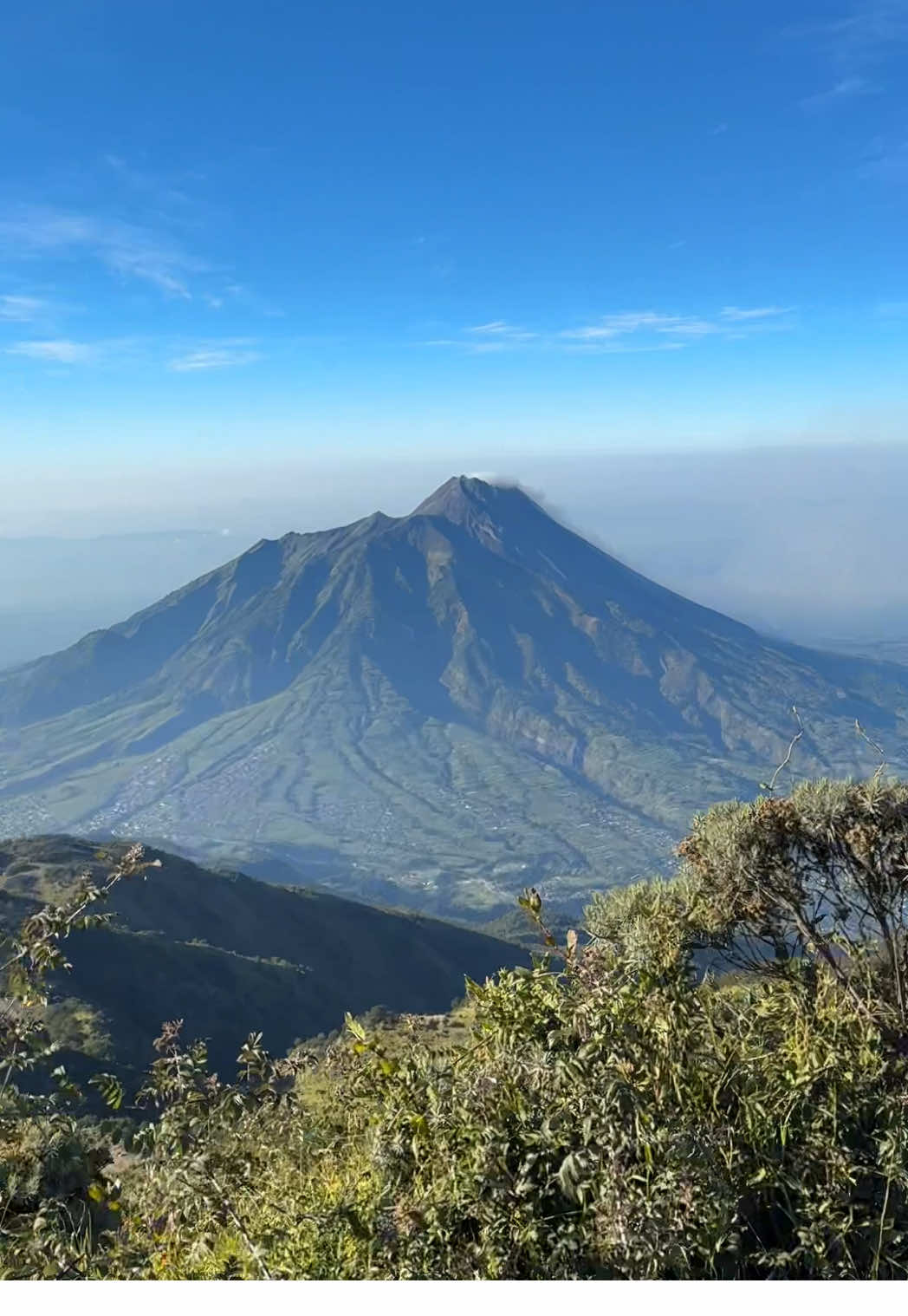 NIH MENTAHAN DI GUNUNG MERBABU  . #mentahanvideo #merbabu #jelajahepi #tektok 