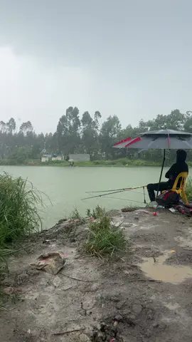 Mưa bão với chúng tôi à 🤣🤣🤣#dammecauca #🎣🎣🎣 #xuhuongtiktok 