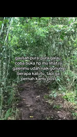 #ambenhill #sembalun #fyp #foryou 