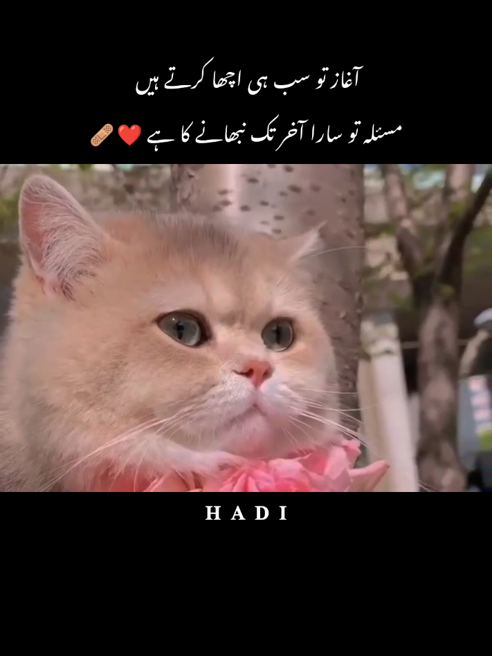 Part 15 | Kash Log Phly Din Ki Thra Humsha Muhabat Kry 🌚🥀 . . . #viralvideotiktok #growmyaccount #sadpoerty #fyppppppppppppppppppppppppppppppppp #urdupoetry 