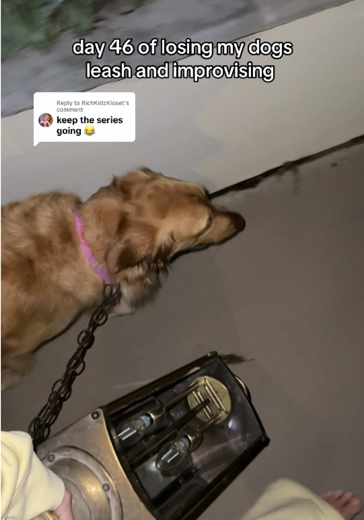 Replying to @RichKidzKloset this doubled as an arm workout too.. ✨🫣💡 #goldenretriever #dog #walk #light 