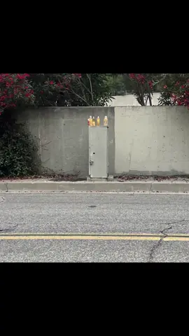 THE PISS SAGA • full documentary