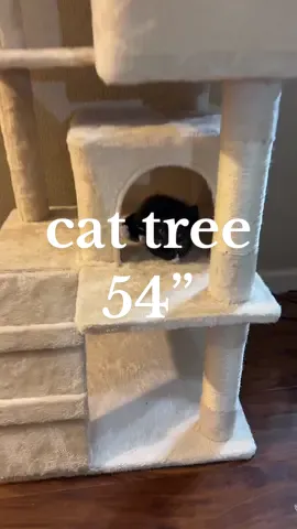 I’m loving this new cat tree! It’s sturdy, soft, and so far our kitty is enjoy taking a nap in one of the spots. I’m hoping he will start playing with it soon! I love how affordable it is too!  #cattree #cathouse #catfurniture #catsoftikok #made4pets @Made4pets-us 