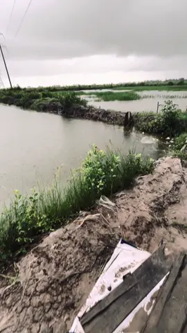 tôi còn nhớ ngày cô đi..#xuhuong #viral #abcxyz #xuhuongtiktok #xyzabc 