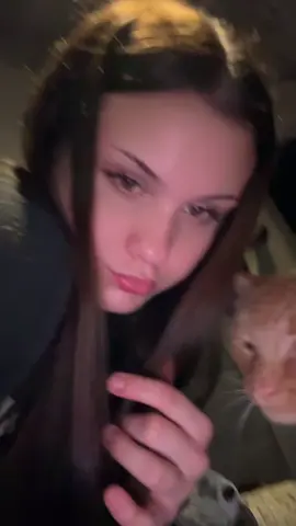 Sherburt #fypシ #cat #catsoftiktok #foryoupage #abcxyz 