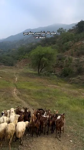 #هروب #اكسبلور 