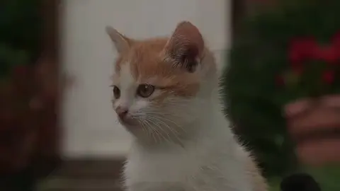 #الله #ارحم #الراحمون_يرحمهم_الله_عزوجل🥀 