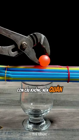 Hãy quản con 10 điều này #phattrienbanthan #trithuc #concai #chame 