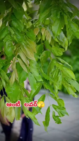 #బార్_దుబాయ్_లోకల్ #మీ_ఆంటీ_లవర్ 