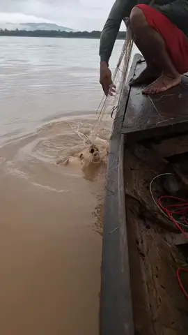 បាទពុក#fyp #fypシ