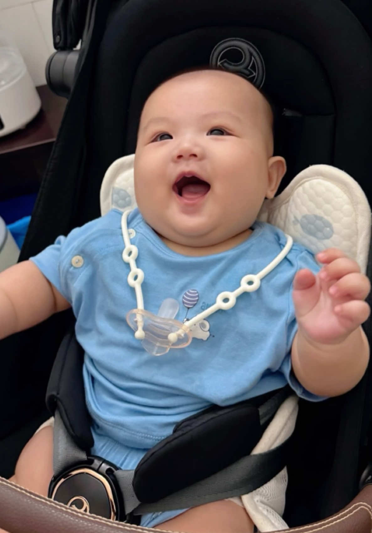 Cô có muốn nhận nuôi con 🐍 t4 dễ thương này hông?? #embedangyeu #xuhuong 