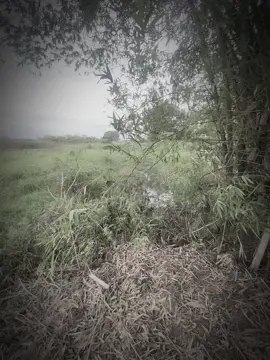 “如果有一天你累了，请记住，有一个人叫我，在等你。