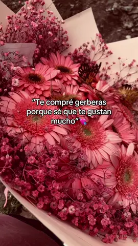 Lo mejor de lo mejor las gerberas😍#gerberas #amor #paratii 
