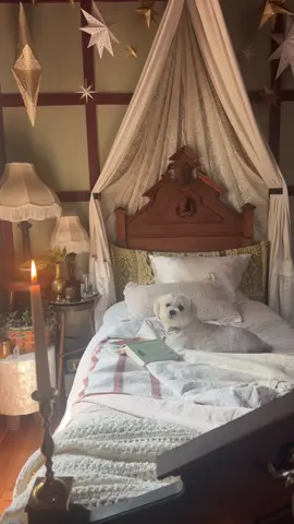 Having a moment for the old room.. I shall miss you!! But!!! Sooooo so soooo excited to create a new space hehe!! Also I’m so excited to have a queen bed again 😅 if anyone has any mattress recommendations please send them my way I need to order one this week!! 🥰🎉 #moving #room #mystyle #vintage #decor 