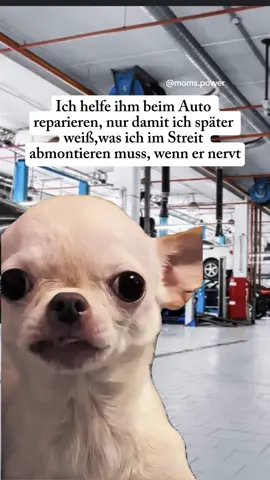 #pms #mannundfrau #ehe #werkstatt #auto 