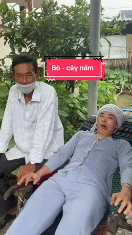 #gauthitheo #choAnKhuong #mientay #tiềngiang 