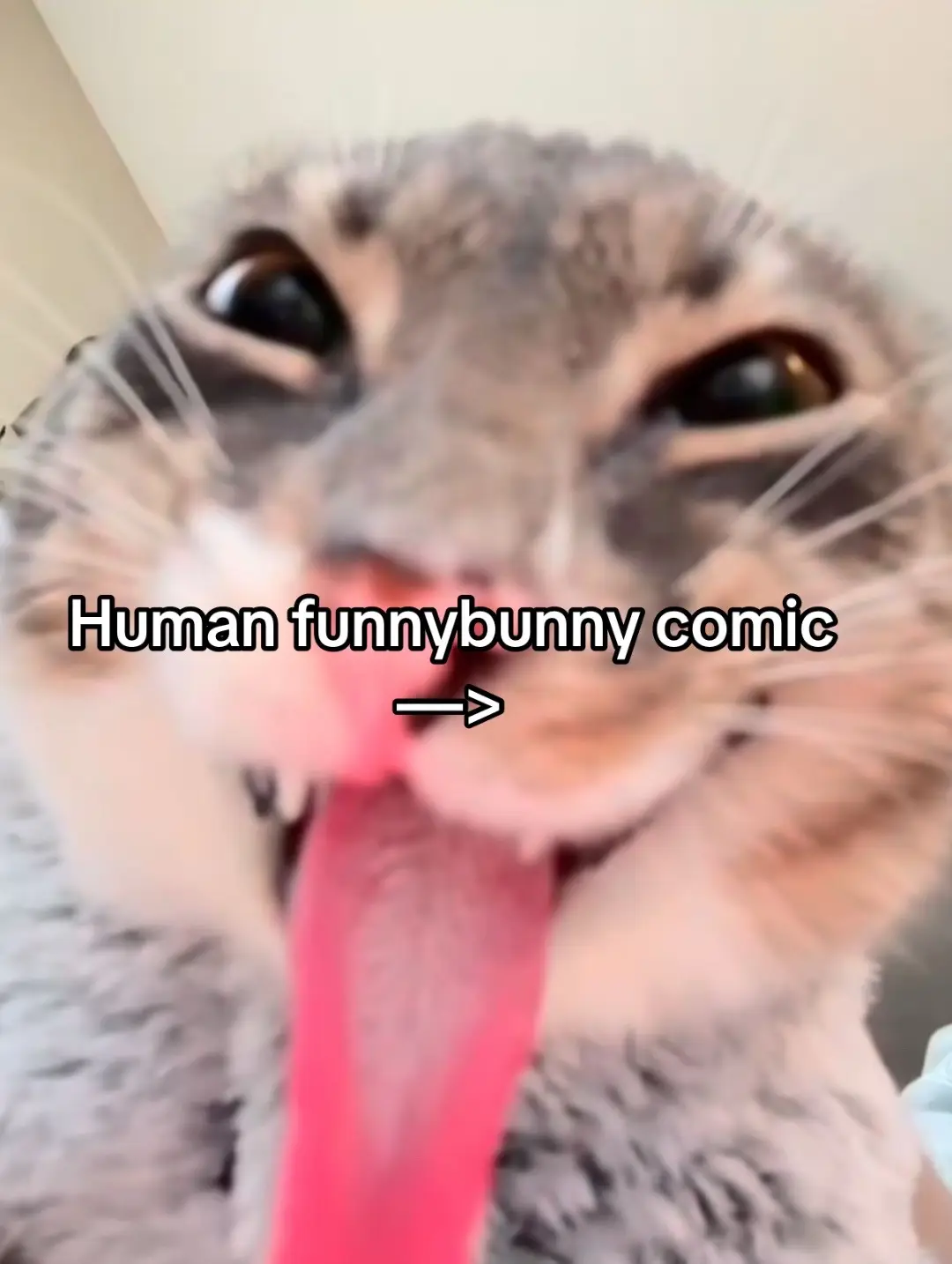 Jax was so difficult for me to humanize and it still doesn’t look like him rip  #tadc #theamazingdigitalcircus #funnybunny #jaxtadc #pomnitadc 