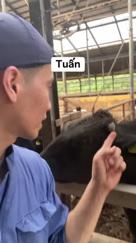 Chị em phụ nữ cẩn thận #toidayne97 #spacoccoc #xuhuong 