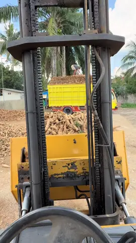 #arematmgrub #singkong #singkonglampung #singkongbalap🤙 #truksingkonglampung #trucksingkong 