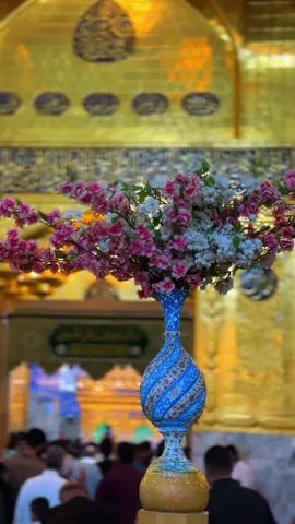 #كربلاء_المقدسه❤️🙏 #يا_عباس 