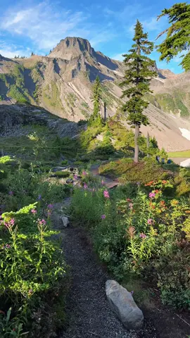 How is this real life?! This is what dreams are made of 🪄 #fyp #pnwlife #pnw #naturetherapy 