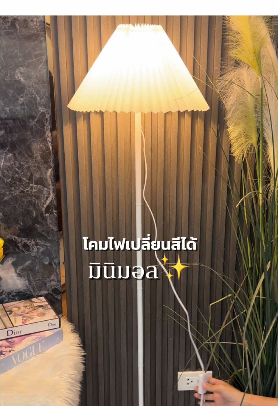 โคมไฟตั้งพื้นเปลี่ยนสีได้สไตล์มินิมอล #โคมไฟตั้งพื้น #โคมไฟเปลี่ยนสี #โคมไฟมินิมอล 