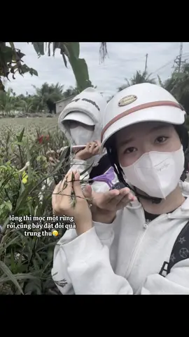 #giongrieng #hoathuan #xuhuong #k8 