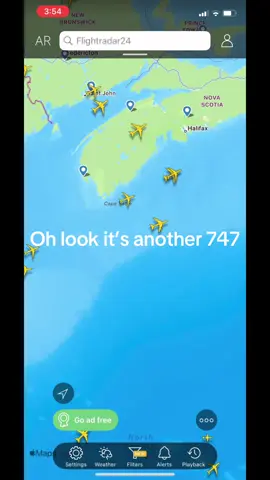 This one is dedicated to the one and only @eloise #dreamlifter #boeing #flightradar24 #747 #fyp 