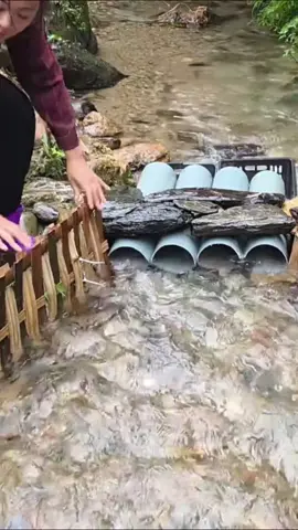#Eps003 Diep's fishing skills, using PVC pipes combined with bamboo to create traps and catch a lot of fish. #bac_wanderingboy  #trapfish   #fishtrappingskills