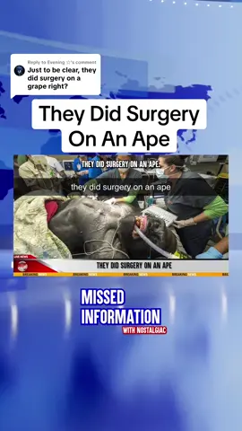 Replying to @Evening ☆ They did surgery on an ape #theydidsurgeryonanape #TikTokPartner 