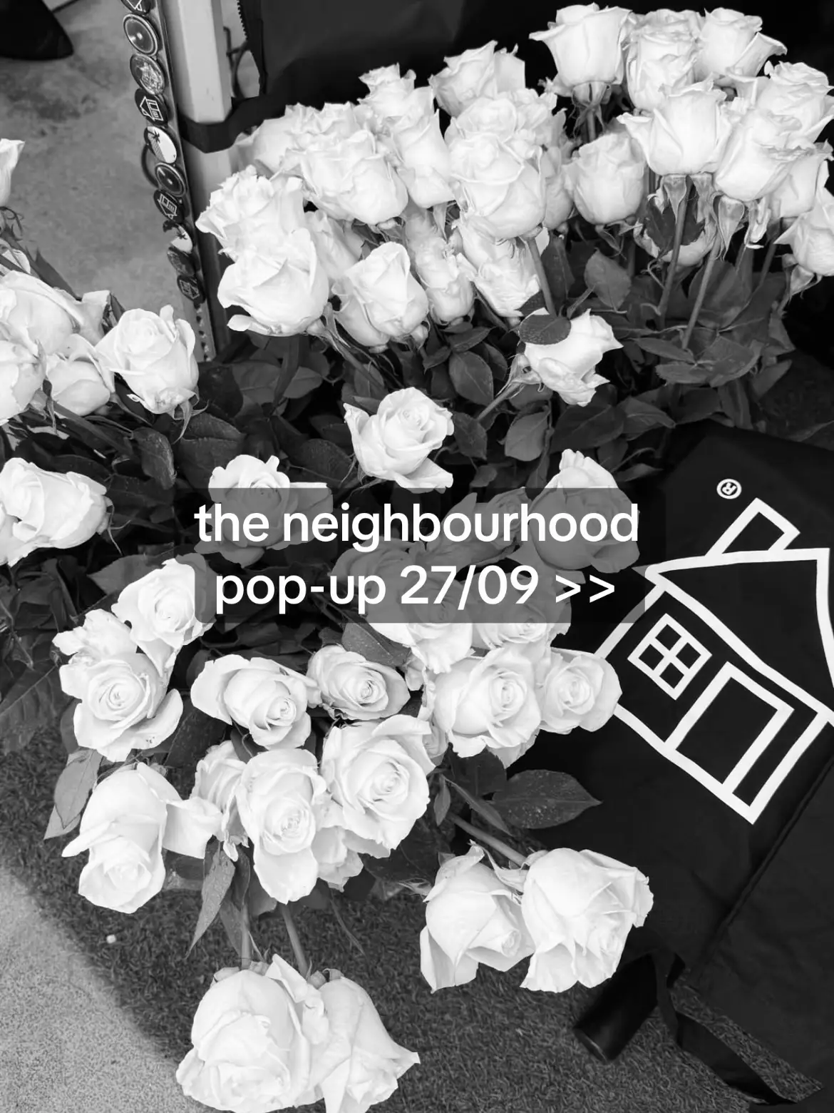 teve mais música nova inclusive.  #theneighbourhood #jesserutherford #thenbhd #fyp #fy @Jesse® 