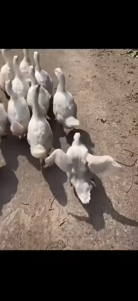 🤩