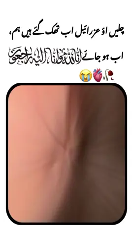 #creatorsearchinsights #fypシ゚#trendingsadpoetry  #viraltiktokfyp🖤シ゚☆ #unfreezrmyaccount 