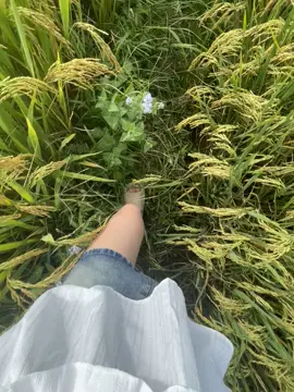 em sinh ra và lớn lên ở bản..#xhhh #viral #chill 