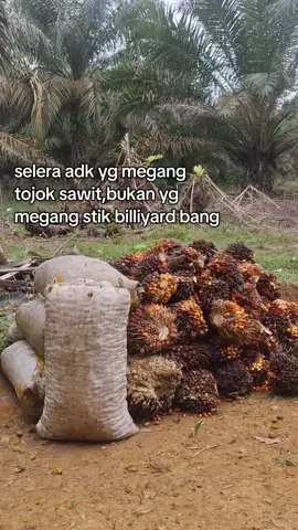 #fyp #sawit #fyp 
