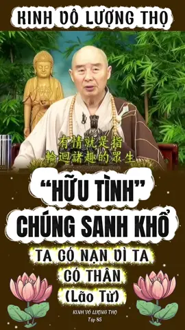#CapCut Pháp Sư Tịnh Không  Nam Mô A Di Đà Phật  Kinh Vô Lượng Thọ Tập 85 #xuhuong #xuhuongtiktok #nammoadidaphat #kinhvoluongtho #hoathuongtinhkhong #phapsutinhkhongthuyetphap #phapsutinhkhong #vangsanhcuclac #tayphuongcuclac #phapmontinhdo #nammobonsuthichcamauniphat #phatphapnhiemmau 
