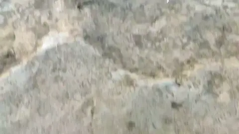 Andong 27 september#pendakifomo #viewmerbabu #viewgunung #pemula#andong1726mdpl 