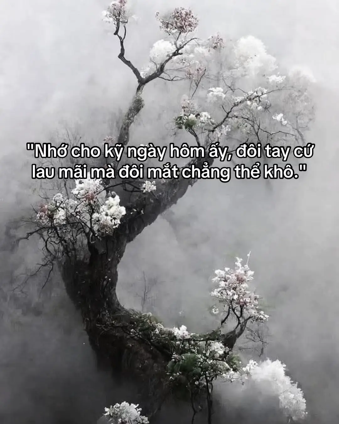 Tôi của hiện tại chẳng còn muốn để lại hình ảnh tốt đẹp trong lòng người khác nữa. Ai nghĩ tôi tốt, thì là tôi tốt. Ai nghĩ tôi xấu, thì là tôi xấu. Ai tốt với tôi, thì tôi tốt lại. Ai ghét tôi, thì mặc kệ chẳng quan tâm. Bởi vì phải trải qua cảm giác khóc đến tận khuya, không thể ăn không thể ngủ. Sáng thứ dậy với đôi mắt sưng húp, nhưng rồi cũng sẽ vượt qua. Ngay lúc đó bạn sẽ nhận ra, không ai đủ xứng đáng để bên cạnh bạn, vì bạn có thể vượt qua giông bão cuộc đời mà không cần dựa vào ai. Cuộc sống này là như vậy, ngược gió mới có thể tái sinh... #em #anh #chuyenchungminh 