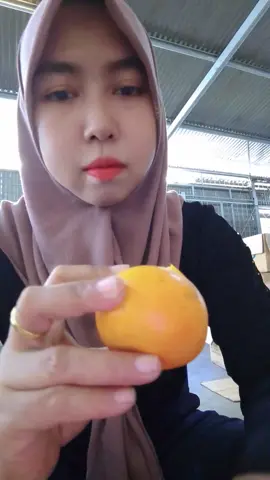 semangat pejuang rupiah minggu ttp produktif,biar melek mkn jeruk dulu#masyaallahtabarakkallah #masukberandafyp 