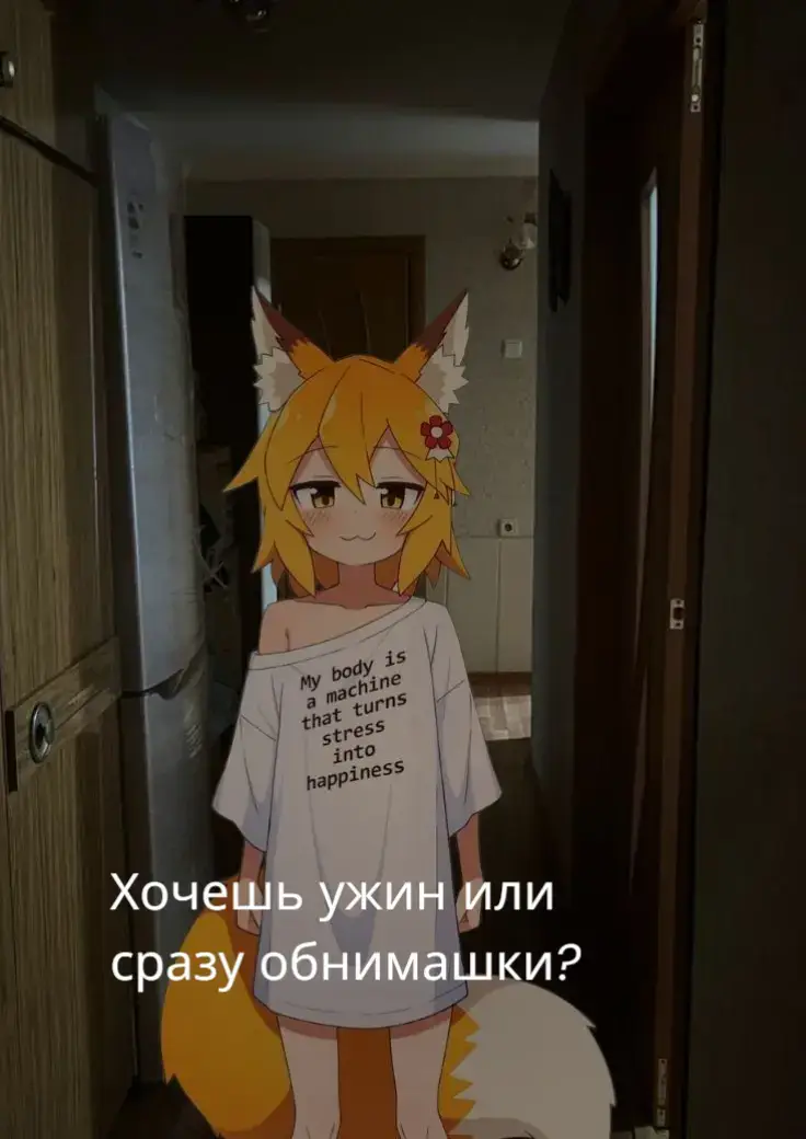 #senko#zzz#arknights 