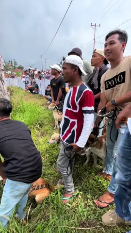 Galogandang #fyppppppppppppppppppppppp #fypage #fyp #foryoupage #porbimarentensumbar #porbitanahdatar #porbijawabarat #porbi50kota #porbi_sumbar #porbimarenten #porbiindonesia 