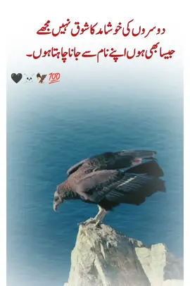 چوہدری صاحب 🏆💯#fyp #trending #foruyou #fyp #viralvideos 