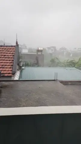 baão tập 2. #bãolụtmiềntrung  #bão 